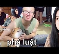 Du Lịch Ở Đà P_W0Gvvbh04 Tiktok Video Download Reddit