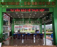 Giống Viện Eakmat