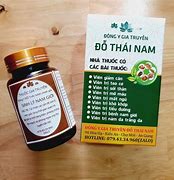 Thuốc Gia Truyền An Giang Lương Y Đỗ Thái Nam