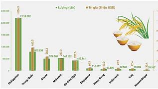 Xuất Khẩu Gạo Việt Nam Wiki 2024 Là Bao Nhiêu